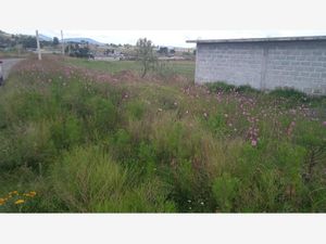 Terreno en Venta en Los Gavilanes Aculco