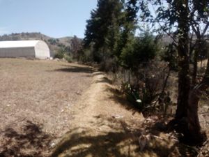 Terreno en Venta en La Soledad Aculco