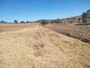 Terreno en Venta en Los Gavilanes Aculco