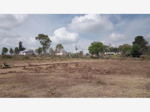 Terreno en Venta en San Francisco Acazuchitlaltongo Polotitlán