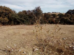 Terreno en Venta en BIMBO Aculco