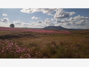 Terreno en Venta en La Concepción Aculco