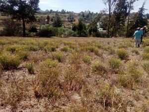 Terreno en Venta en La Soledad Aculco