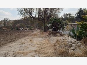 Terreno en Venta en Santa María Nativitas Aculco