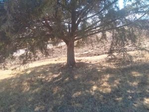 Terreno en Venta en Los Gavilanes Aculco