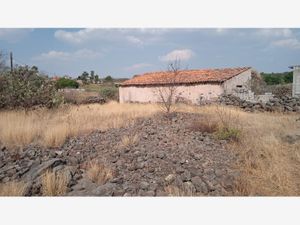 Finca/Rancho en Venta en Ruano Polotitlán