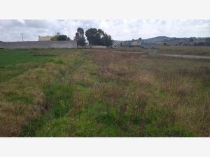 Terreno en Venta en San Antonio Arroyo Zarco Aculco