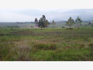 Terreno en Venta en Los Gavilanes Aculco