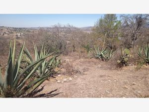 Terreno en Venta en San Antonio Arroyo Zarco Aculco