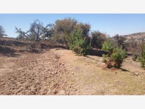 Terreno en Venta en San Antonio Arroyo Zarco Aculco