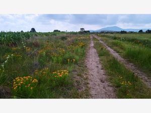 Terreno en Venta en San Francisco Acazuchitlaltongo Polotitlán