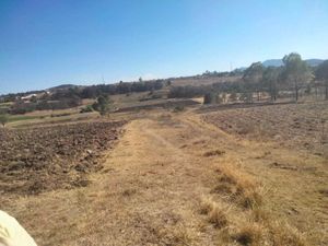 Terreno en Venta en Los Gavilanes Aculco