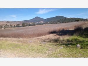 Terreno en Venta en Arroyo Zarco Aculco