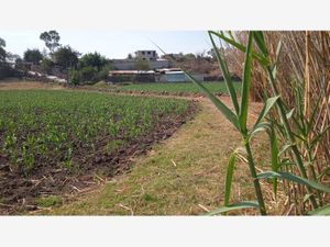 Terreno en Venta en Santa María Nativitas Aculco