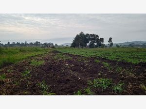 Terreno en Venta en Los Gavilanes Aculco