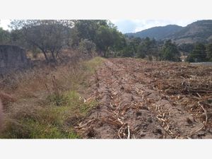 Terreno en Venta en La Soledad Aculco