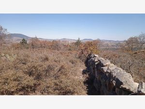 Terreno en Venta en San Antonio Arroyo Zarco Aculco