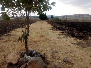 Terreno en Venta en fondo Aculco