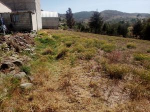 Terreno en Venta en La Soledad Aculco