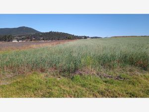 Terreno en Venta en Arroyo Zarco Aculco