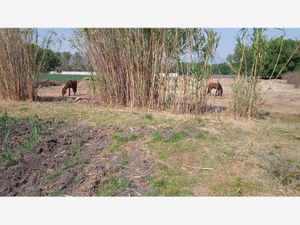 Terreno en Venta en Santa María Nativitas Aculco