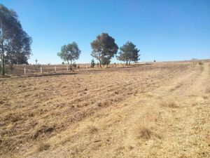 Terreno en Venta en Los Gavilanes Aculco