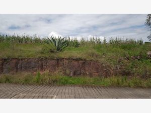 Terreno en Venta en La Soledad Aculco