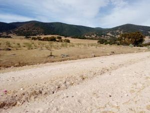 Terreno en Venta en BIMBO Aculco