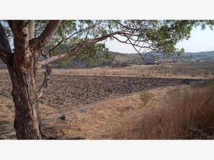 Terreno en Venta en Santa María Nativitas Segundo Cuartel Aculco