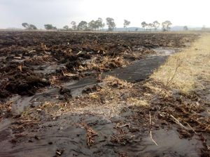 Terreno en Venta en fondo Aculco