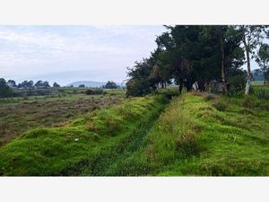 Terreno en Venta en Los Gavilanes Aculco