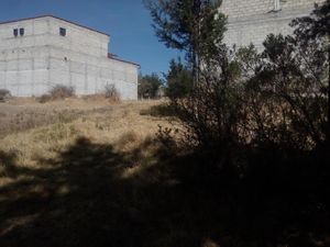 Terreno en Venta en La Soledad Aculco