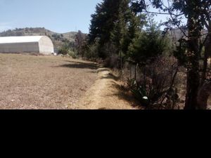 Terreno en Venta en La Soledad Aculco