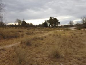 Terreno en Venta en Santa María Nativitas Aculco