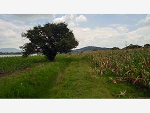 Terreno en Venta en Los Gavilanes Aculco