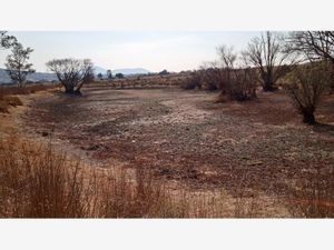 Terreno en Venta en Santa María Nativitas Segundo Cuartel Aculco