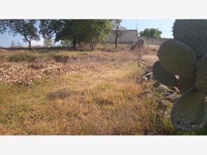 Terreno en Venta en La Soledad Aculco