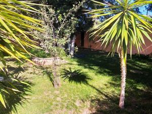 Casa en Renta en Campestre Martinica Durango