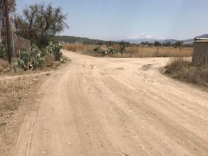 Terreno en Venta en Ex-hacienda de Tecajete Zempoala