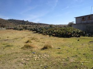 Terreno en Venta en Singuilucan Centro Singuilucan