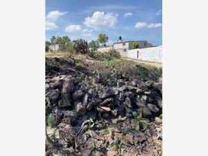 Terreno en Venta en Ixcuinquitlapilco San Agustín Tlaxiaca