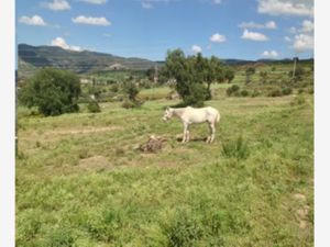 Terreno en Venta en Epazoyucan Centro Epazoyucan