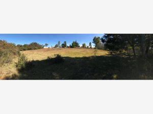 Terreno en Venta en Huasca de Ocampo Centro Huasca de Ocampo