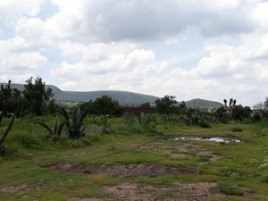 Finca/Rancho en Venta en Zempoala Centro Zempoala