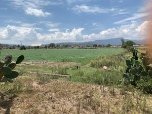 Terreno en Venta en Acatlan Centro Acatlán