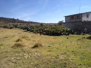 Terreno en Venta en Singuilucan Centro Singuilucan