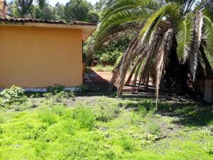 Finca/Rancho en Venta en Progreso de Obregon Progreso de Obregón