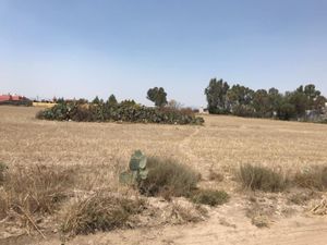 Terreno en Venta en Ex-hacienda de Tecajete Zempoala