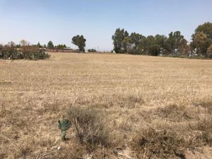 Terreno en Venta en Ex-hacienda de Tecajete Zempoala