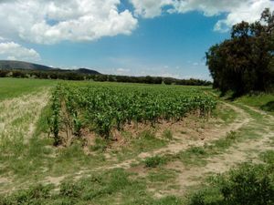 Finca/Rancho en Venta en Zempoala Centro Zempoala